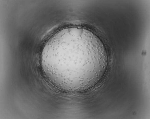 X0000110721205200906121238