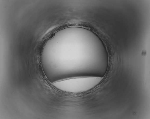 X0000110721206200906121238
