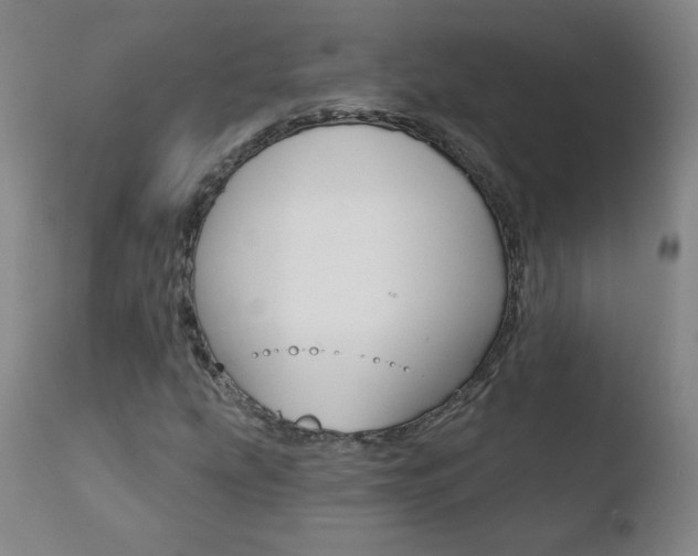 X0000110721207200906121238