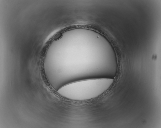 X0000110721208200906121238