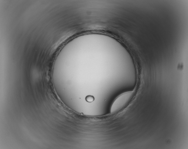 X0000110721209200906121238