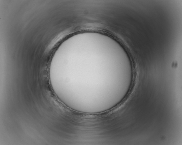 X0000110721211200906121238