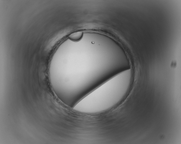 X0000110721213200906121238