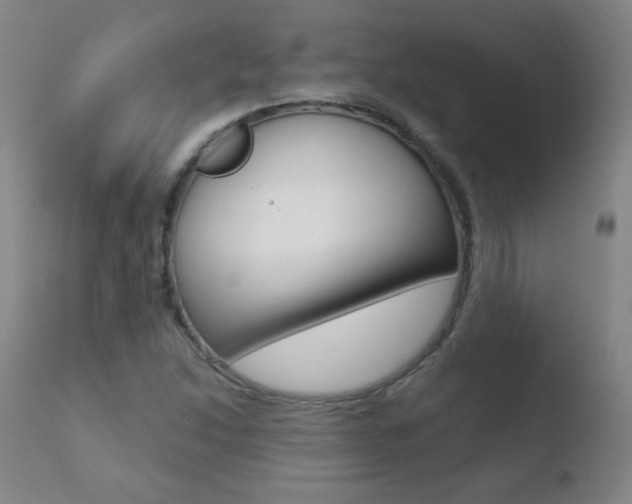 X0000110721214200906121238