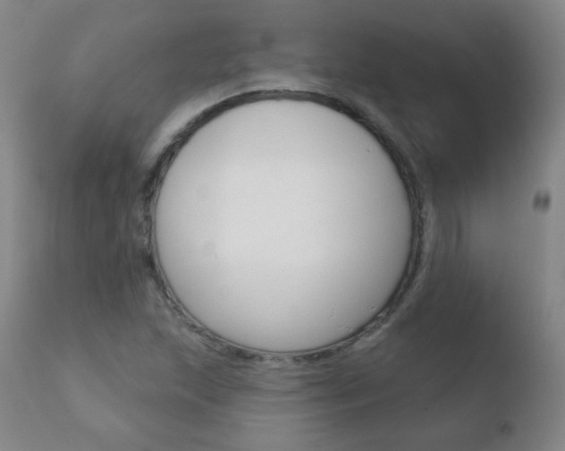 X0000110721215200906121238