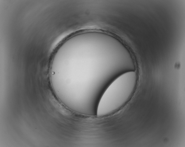 X0000110721216200906121238