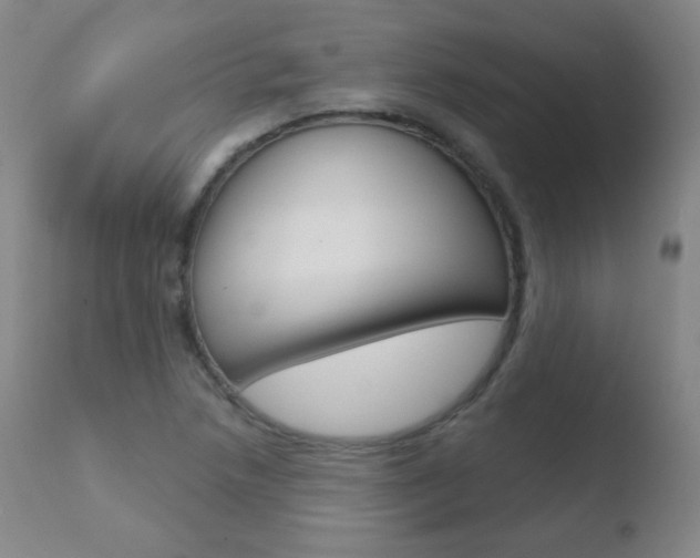 X0000110721218200906121238