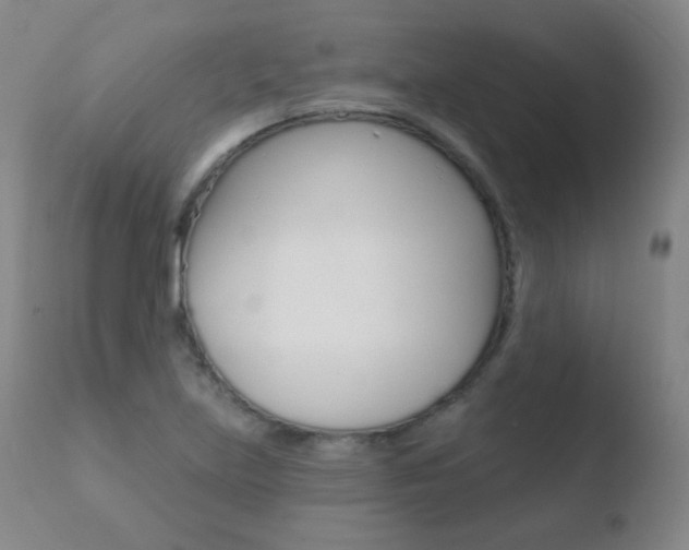 X0000110721219200906121238