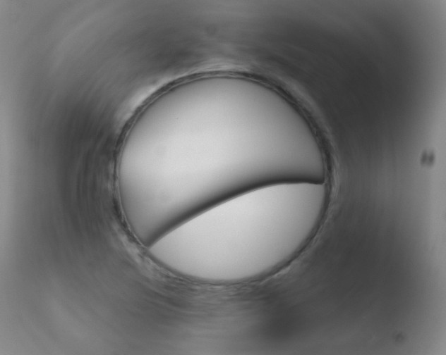 X0000110721220200906121238
