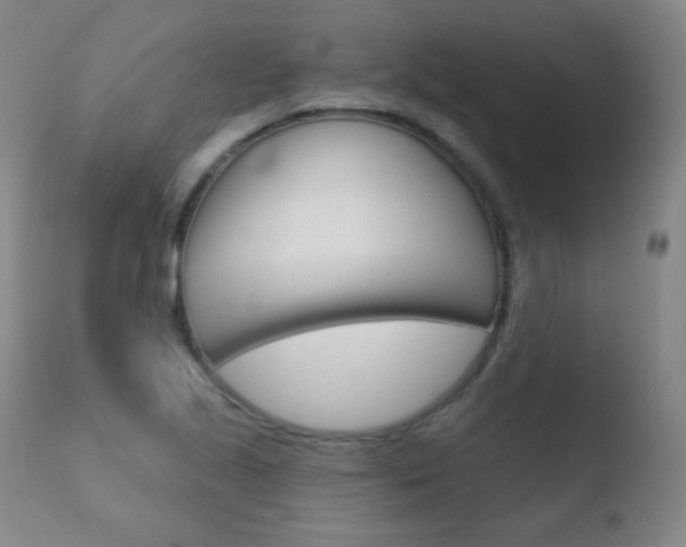 X0000110721221200906121238
