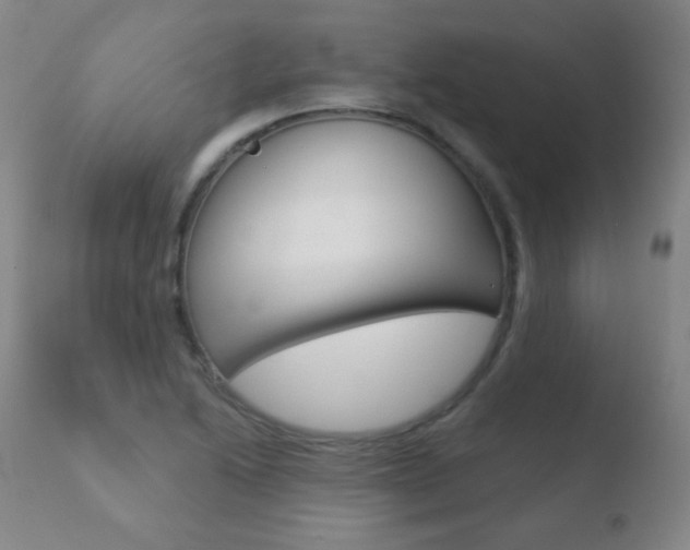 X0000110721222200906121238