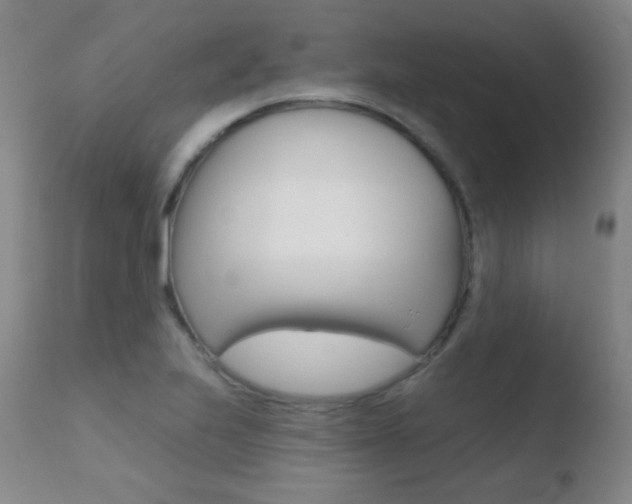 X0000110721223200906121238