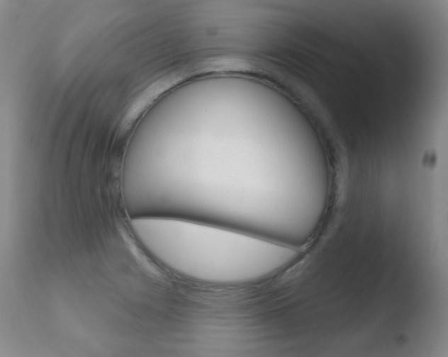 X0000110721225200906121238