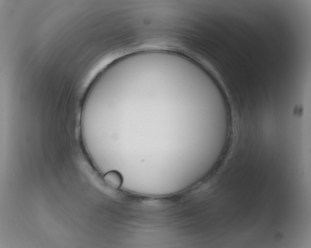X0000110721227200906121238