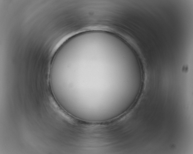 X0000110721228200906121238