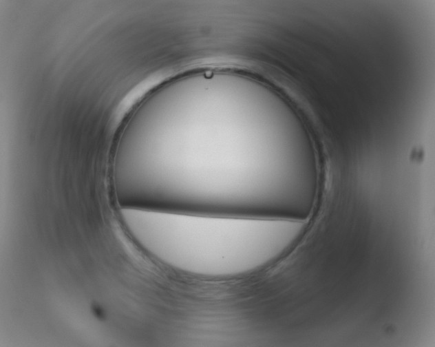 X0000110721229200906121238
