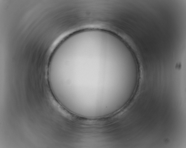 X0000110721232200906121238