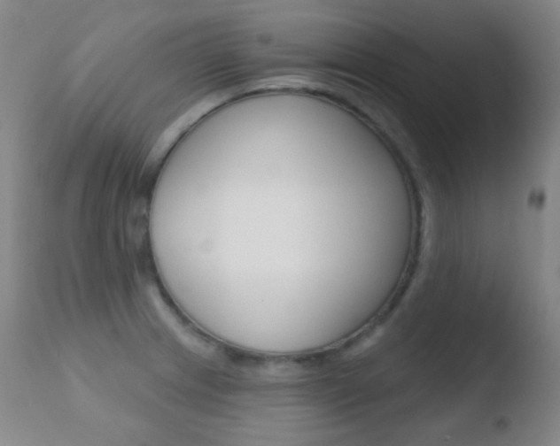 X0000110721233200906121238