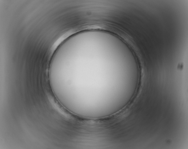 X0000110721234200906121238