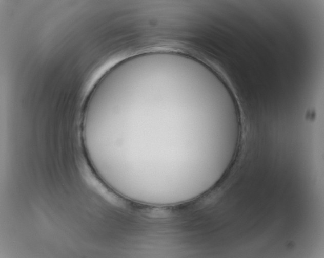 X0000110721235200906121238