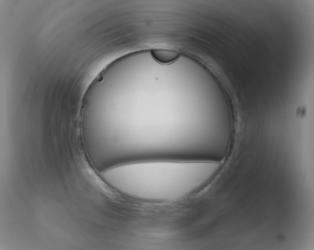 X0000110721236200906121238