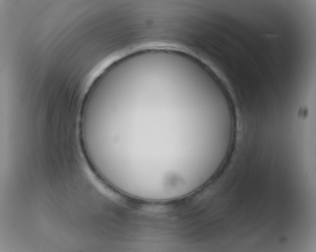 X0000110721237200906121238