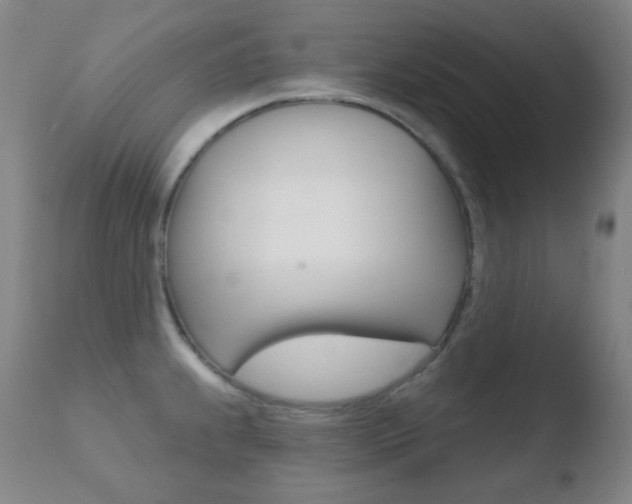 X0000110721239200906121238