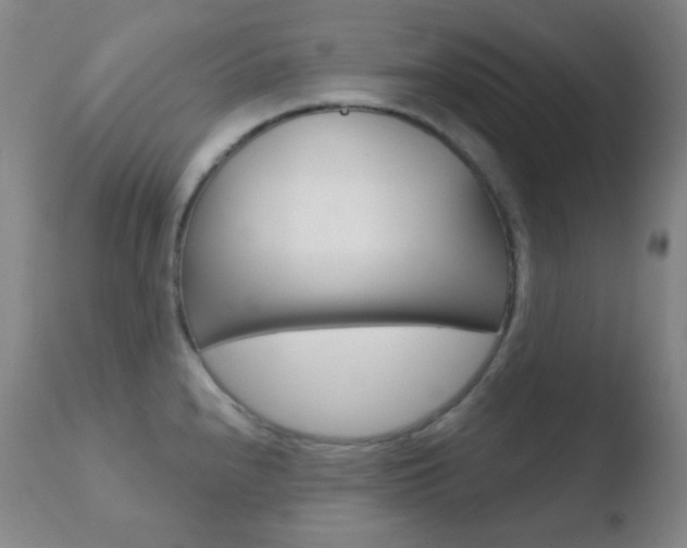 X0000110721240200906121238