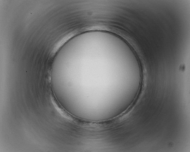X0000110721241200906121238