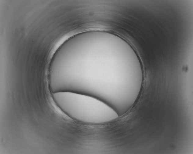 X0000110721243200906121238
