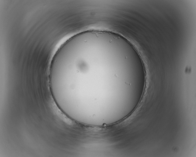 X0000110721248200906121239