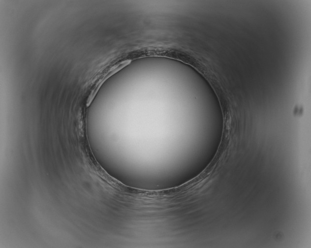 X0000110721252200906121238