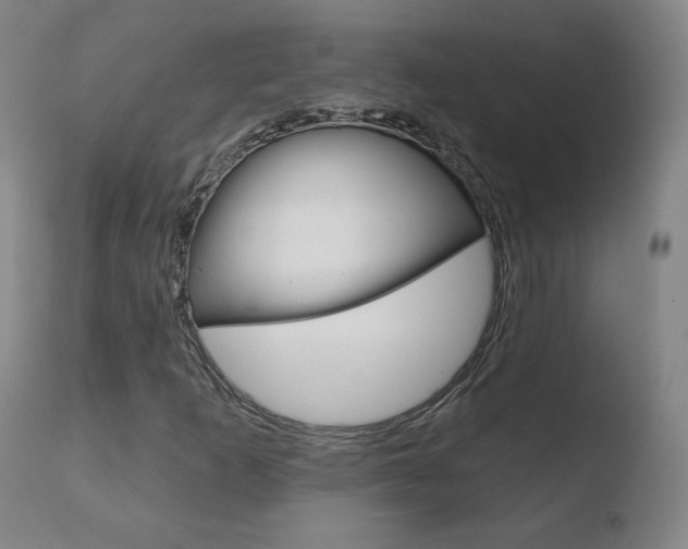 X0000110721253200906121238