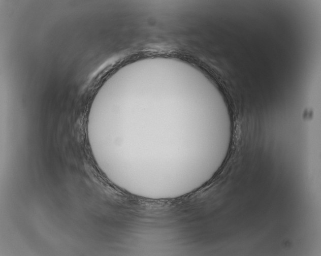 X0000110721254200906121238