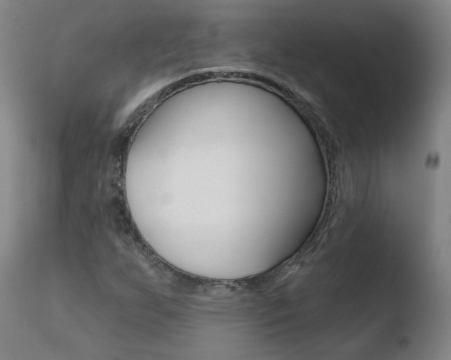 X0000110721255200906121238