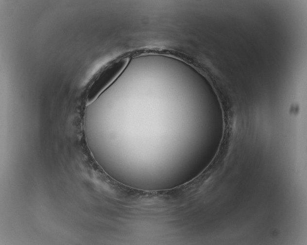 X0000110721256200906121238