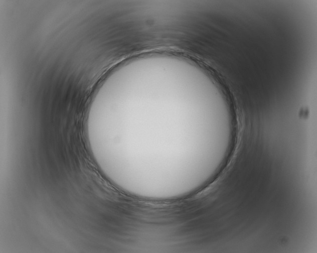 X0000110721257200906121238