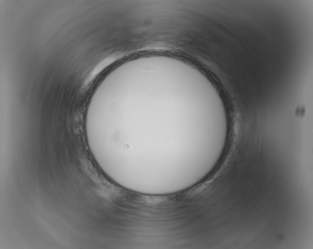 X0000110721258200906121238