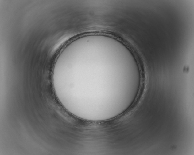 X0000110721259200906121238