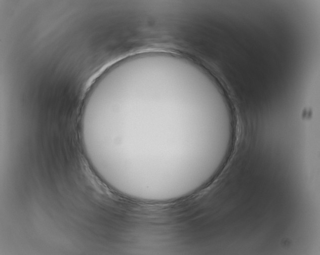 X0000110721260200906121238