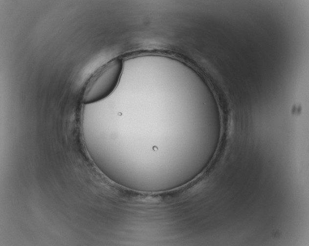 X0000110721261200906121238