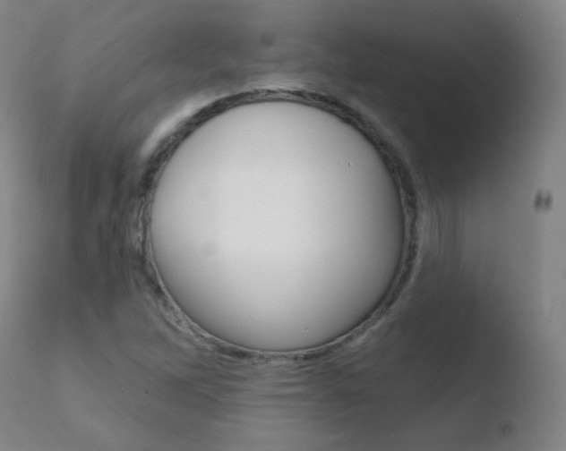 X0000110721262200906121238