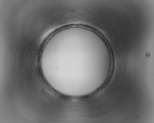 X0000110721263200906121238