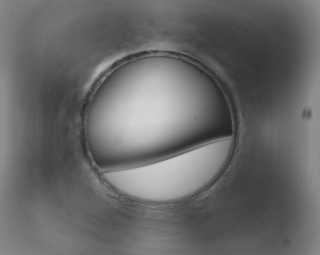 X0000110721264200906121238