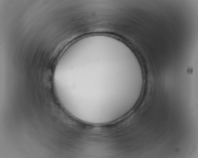X0000110721265200906121238