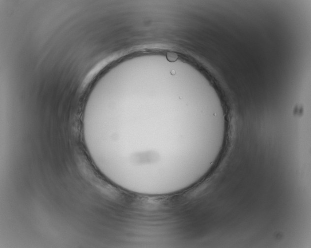 X0000110721266200906121238