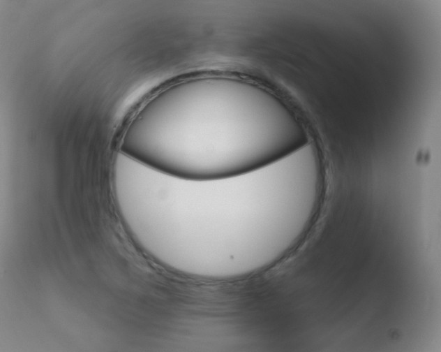X0000110721267200906121238