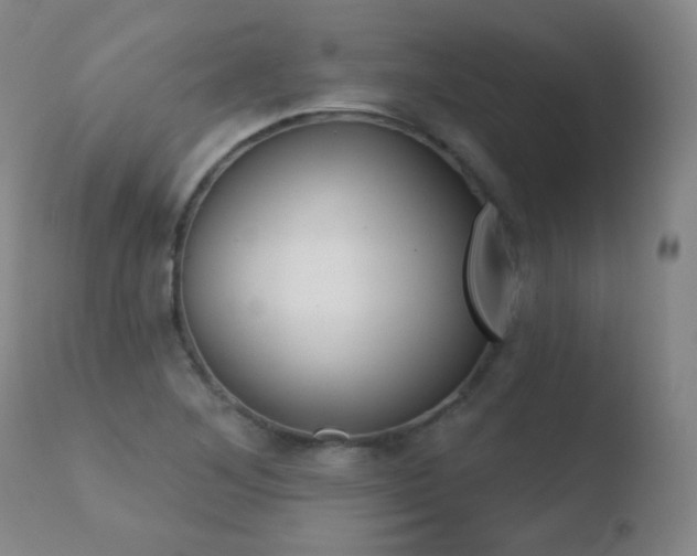 X0000110721268200906121238