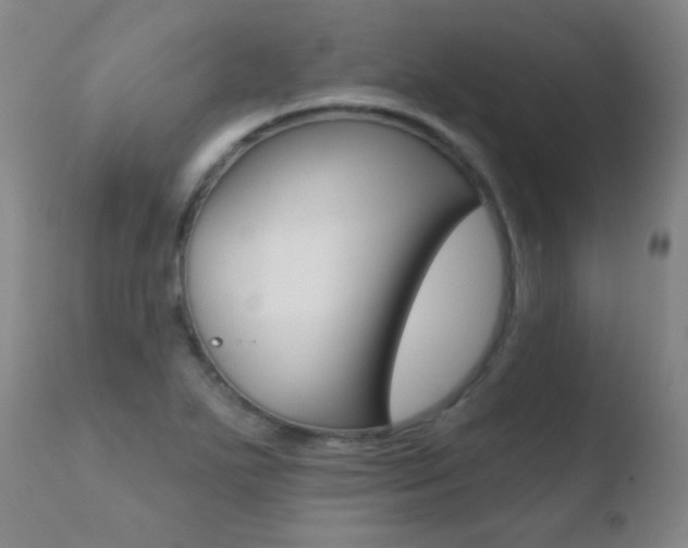 X0000110721271200906121238