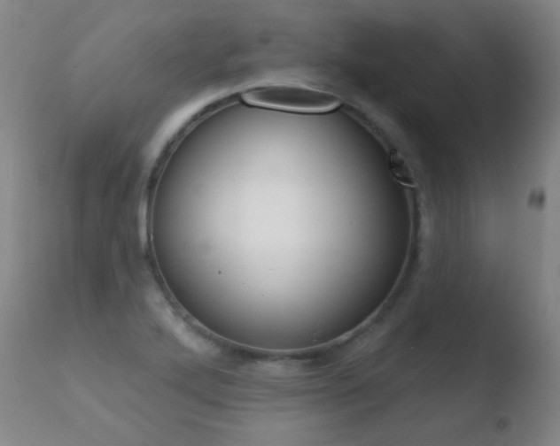 X0000110721272200906121238